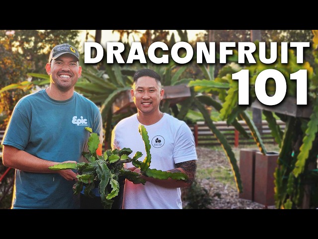 How To Grow Dragon Fruit (COMPLETE GUIDE)