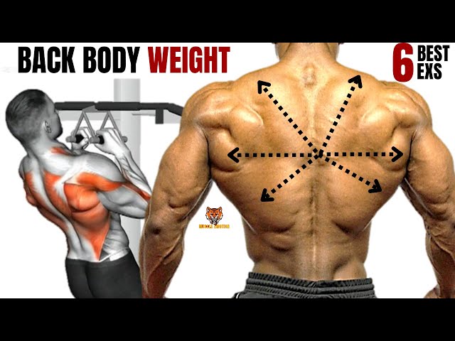 6 BEST BACK EXERCISES  WITH BODYWEIGHT TO GET BIGGER BACK FAST / MUSCULATION DOS RÉSULTAT RAPIDE