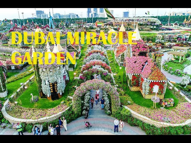 DUBAI MIRACLE GARDEN, THE WORLDS LARGEST NATURAL FLOWER GARDEN WALKING TOUR IN 4K