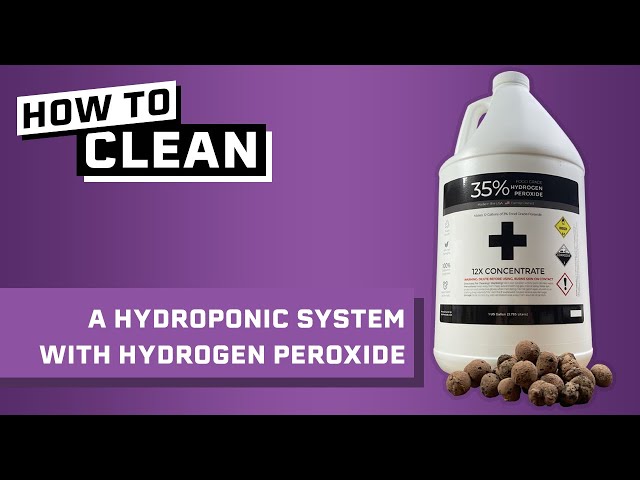 How to Clean a Hydroponic System with Hydrogen Peroxide