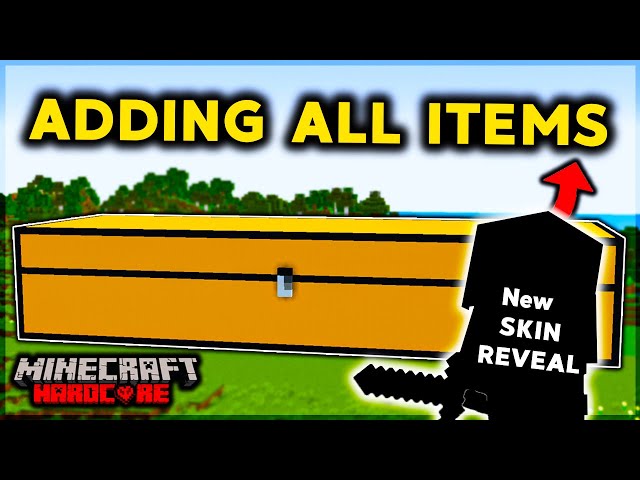 NEW SKIN AND Adding Items in BIG CHEST in Minecraft Hardcore (LIVE)