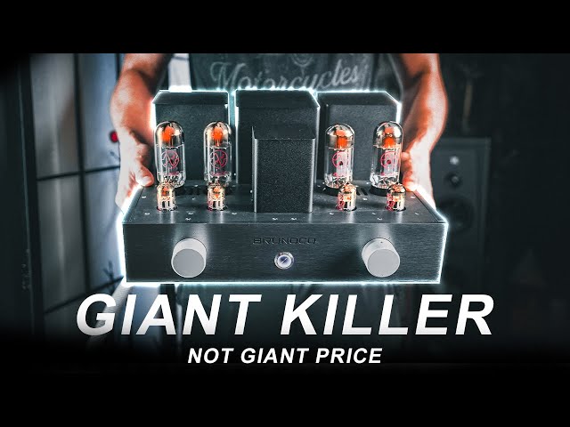 High-End GIANT KILLER Audiophile Tube Amplifier You've NEVER Heard