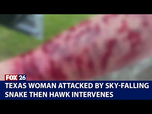 Snake fell from sky onto Texas woman, she's then attacked by hawk