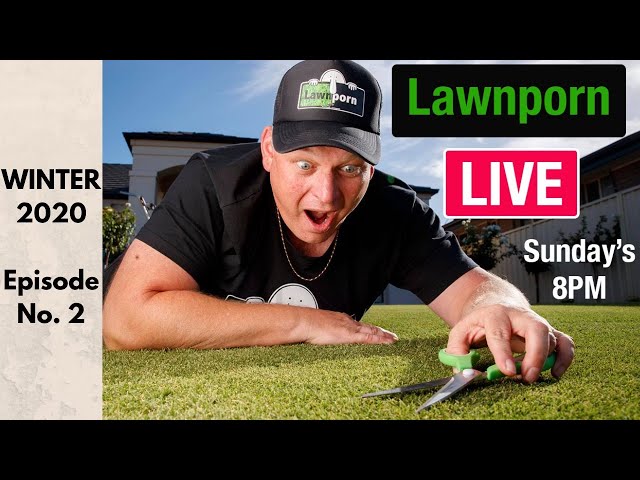 Lawnporn Live - Winter 2020 // Episode No. 2