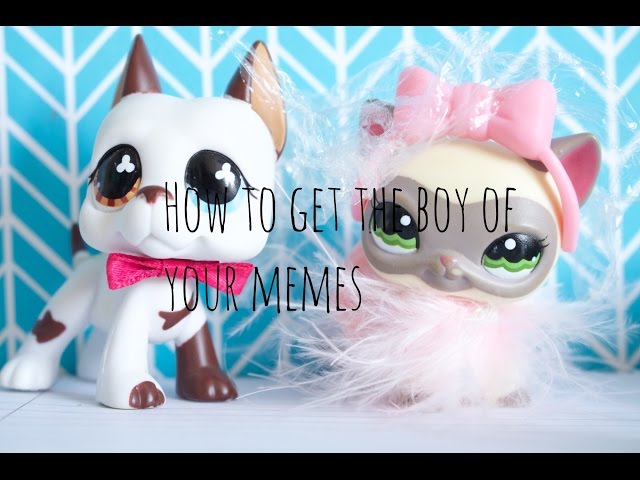 LPS How to Get the Boy of Your Memes