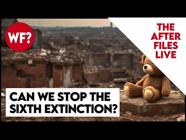 Sixth Extinction After Files! Going deep, Q&A, Shoot the breeze