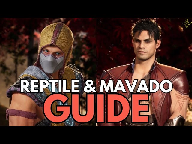 Reptile & MAVADO Guide By HoneyBee! Everything You Need to Know!