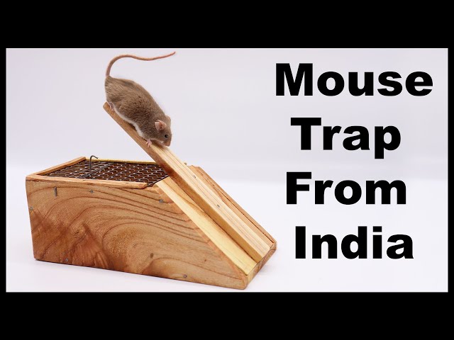 Mouse Trap From India.  Mousetrap Monday.