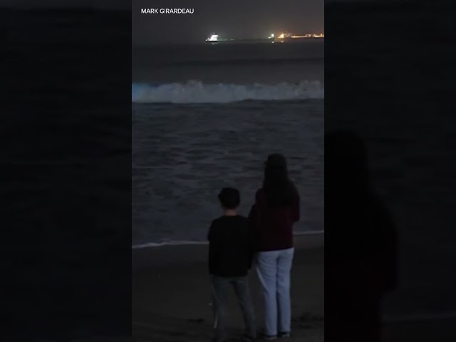 Stunning bioluminescence waves captured at Long Beach