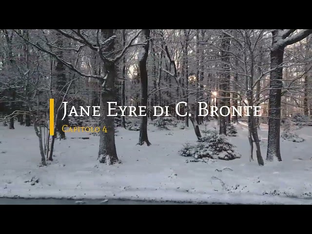 Jane Eyre di Charlotte Bronte - Capitolo 4 di 38