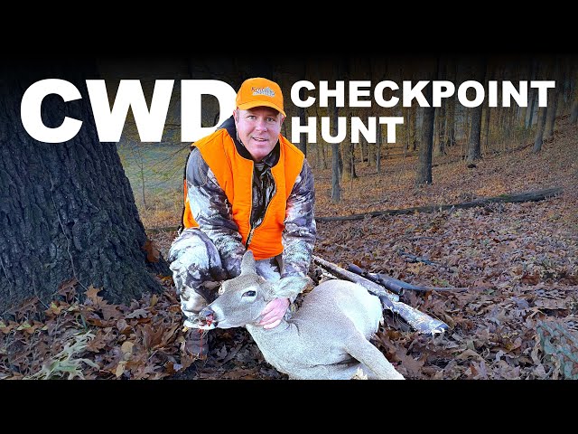 CWD Surveillance Zone Deer Hunt
