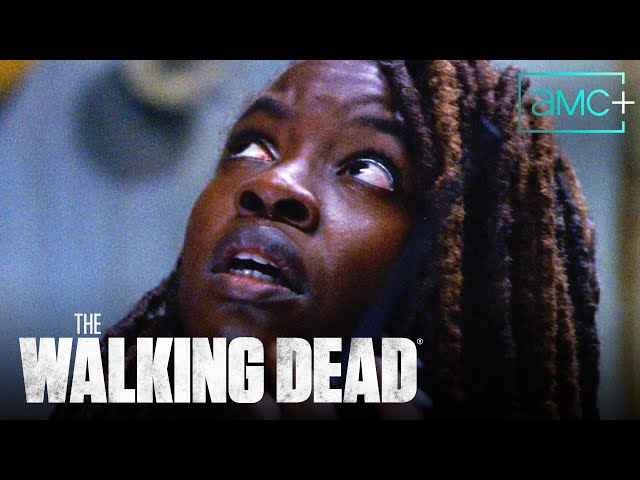 Where's Rick? The beginning of Michonne's search? | The Walking Dead