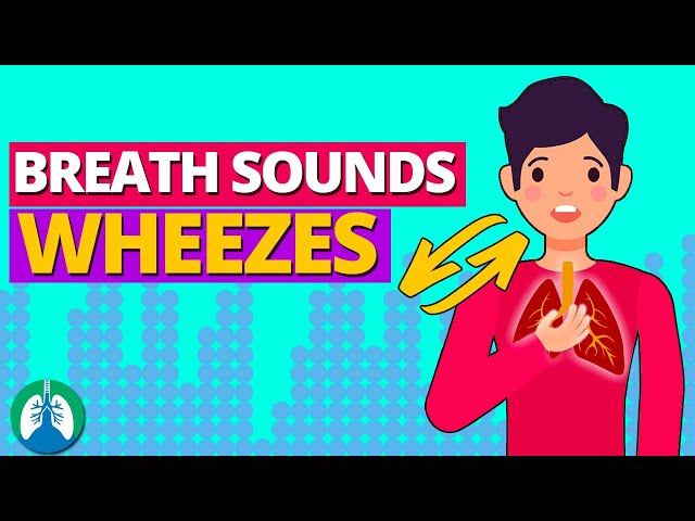 Wheezes Lung Sounds (What is Wheezing?) | Breath Sounds Guide