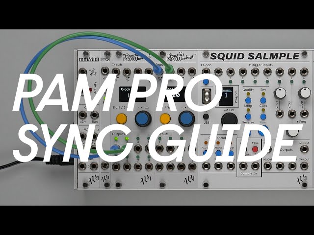 Pam PRO Sync Guide