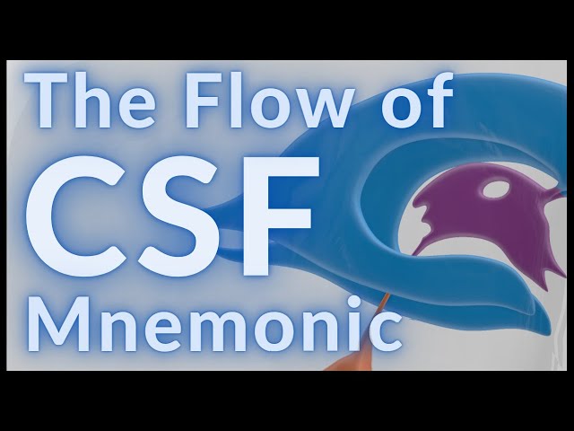 Flow of CSF - MADE EASY!!!