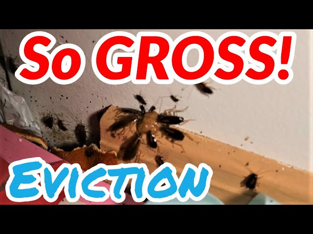 I Evicted My Tenant || Roach Infestation