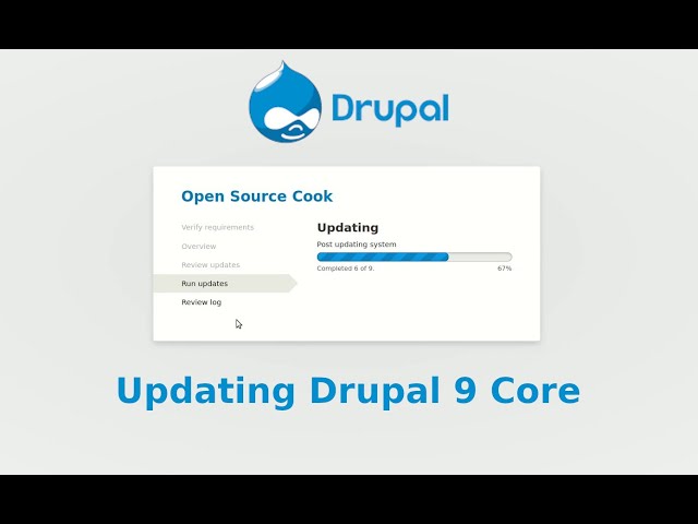 Drupal 9 - How to update Drupal core