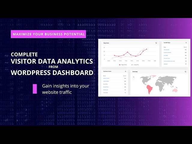 Visitors Data Analytics from WordPress Dashboard | Maximise Business Potential | Slimstat Analytics