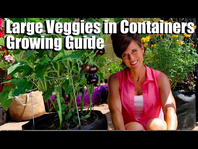 Growing Large Veggies/Fruit in Containers/Complete Guide with Digital Table of Contents