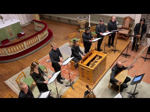 Echoes of Celebrations around 1630 – The European Hansa-Ensemble, Manfred Cordes, conductor
