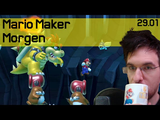 29.01 | Wenn Maulwürfe und Kanonen zu Gameplay werden! | Mario Maker Morgen