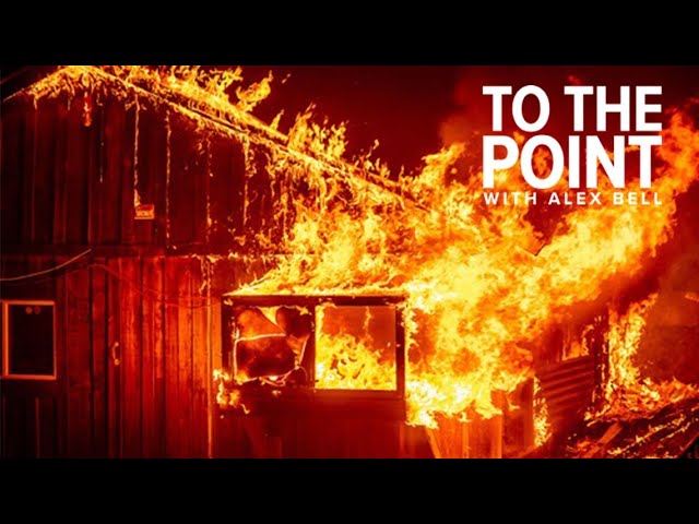 California wildfires: UC Berkeley researchers break down fuel management practices | To The Point