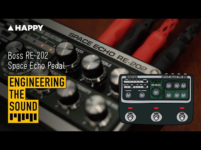 Boss RE-202 Space Echo Pedal | Full Demo and Review