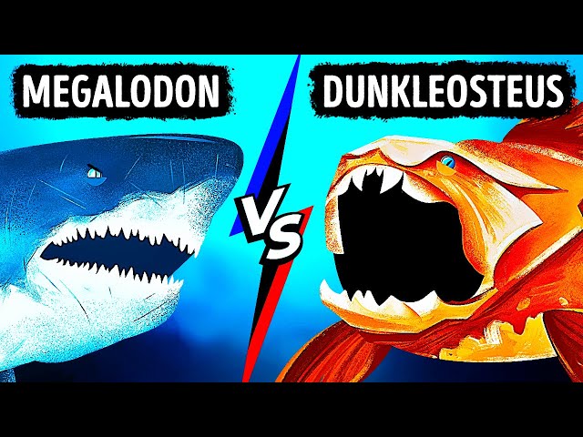 What If Megalodon Met Fish With Strongest Bite Ever