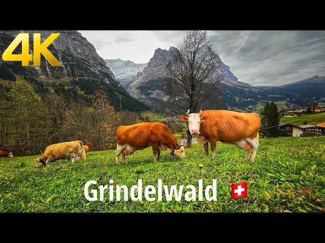 Grindelwald Switzerland Walking Tour 4K 60fps - Heavenly beautiful Swiss village