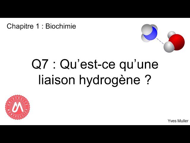 Chapitre 1 : Biochimie - Q7 : Qu'est-ce qu'une liaison hydrogène ?