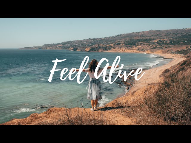 BEST MUSIC TO BOOST YOUR MOOD ~ FEEL ALIVE
