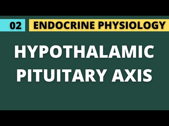 02 HYPOTHALAMIC PITUITARY AXIS AND PITUITARY GLAND | ENDOCRINE PHYSIOLOGY