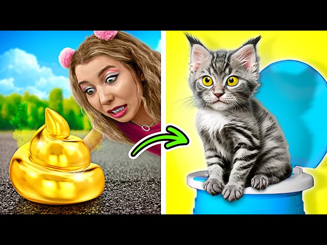 My Cat Loses So Much Hair! 😿 🐾 Help Me! *Pet Gadgets That Really Work* #cat #123go