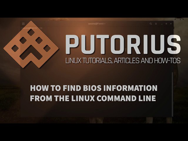 How to find BIOS information from the Linux command Line
