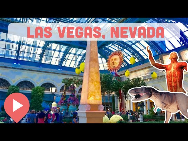 Best Museums in Las Vegas, Nevada