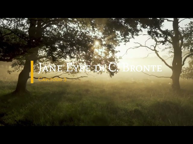 Jane Eyre di Charlotte Bronte - Capitolo 3 di 38