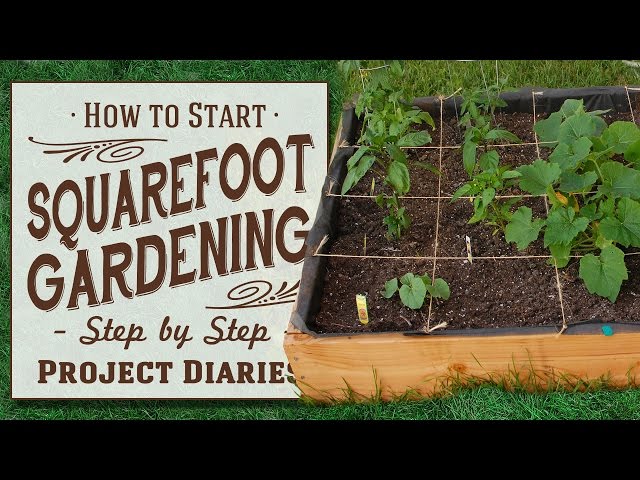 ★ How to: Start Square Foot Gardening (A Complete Step by Step Guide)