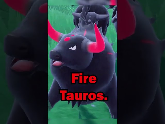 Where to Find ALL Tauros Forms in Pokémon Scarlet and Violet