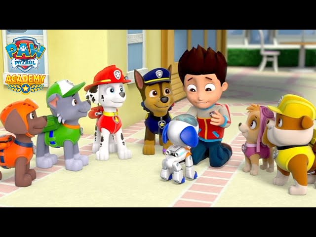 PAW Patrol Academy - Numbers Round Up & Mini Games with Chase, Marshall, Skye (iOS, Android) 2