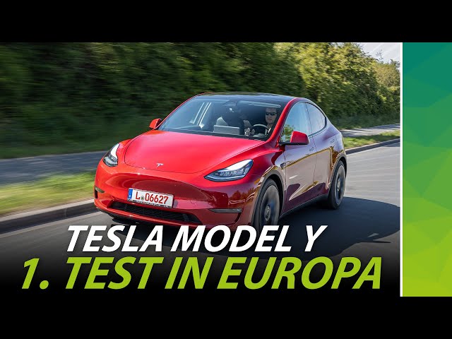 Tesla Model Y: The Perfect Allrounder? Review & Driving Report