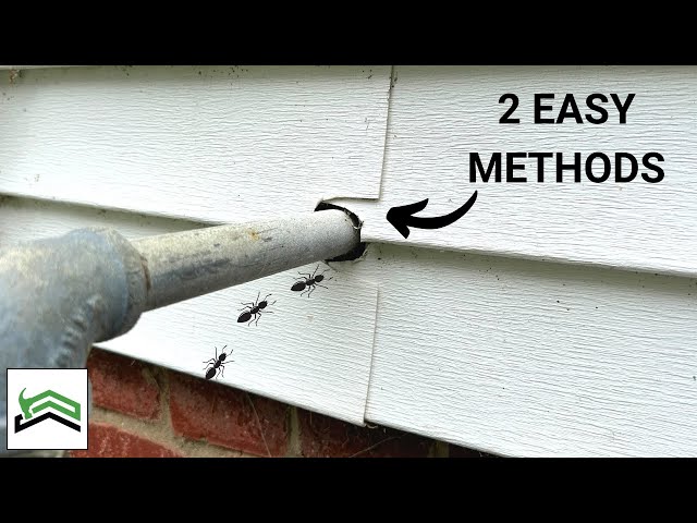 How To Seal Gaps And Holes In Siding | Keep Bugs and Cold Out!