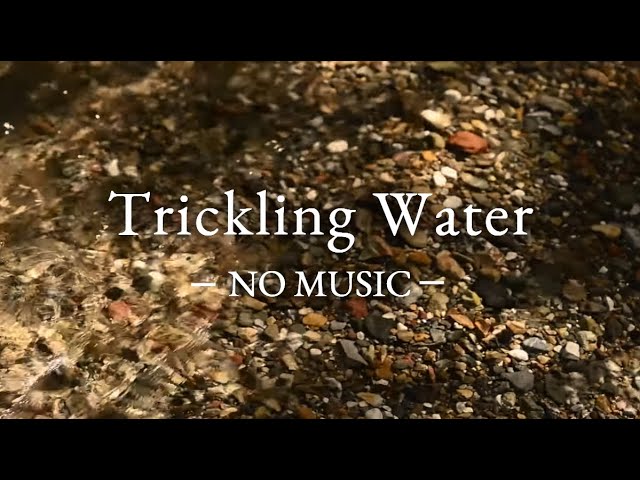 3 Hours - Subtle Sounds of a Small Creek in a Forest - No Music