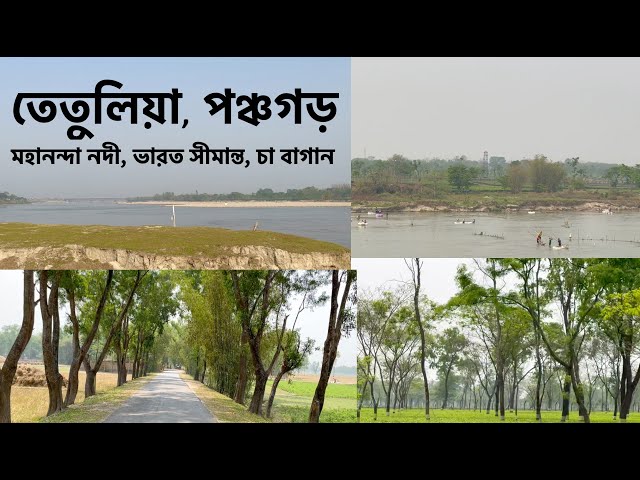 Tetulia | Panchagarh | Banglabandha Zero Point | Mahananda River | Tea Gardens