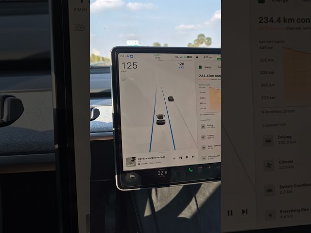 Tesla Autopilot works perfectly on highway