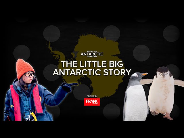 The Little Big Story from Antarctica | Biogirl MJ