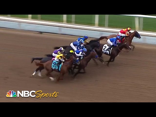 The Robert B. Lewis Stakes 2024 (FULL RACE) | NBC Sports