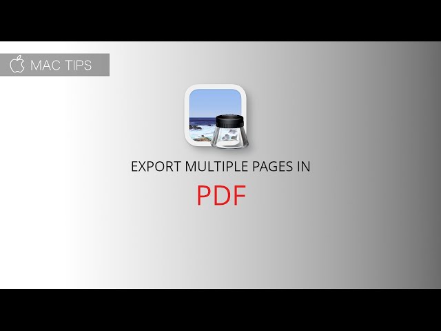 How to export multiple pages in PDF using preview on Mac