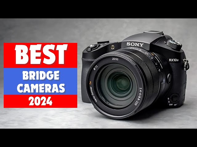 Best Bridge Cameras 2024 - Top 6 Best Bridge Cameras You Should Buy in 2024