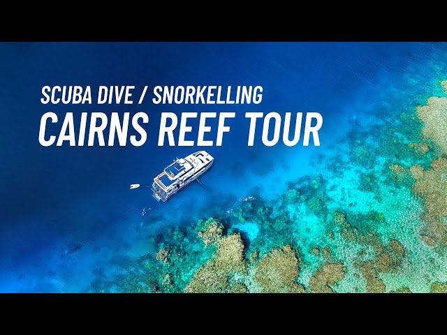 Cairns Reef Tour - Scuba Diving 🤿  Snorkelling on the Great Barrier Reef 🐠🐠