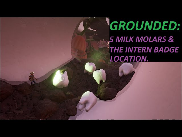Grounded: 5 Milk molars and the Intern badge location.
